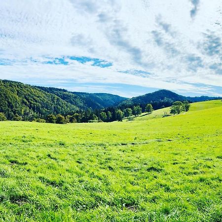Ferienhaus Doina Gehlberg Kültér fotó