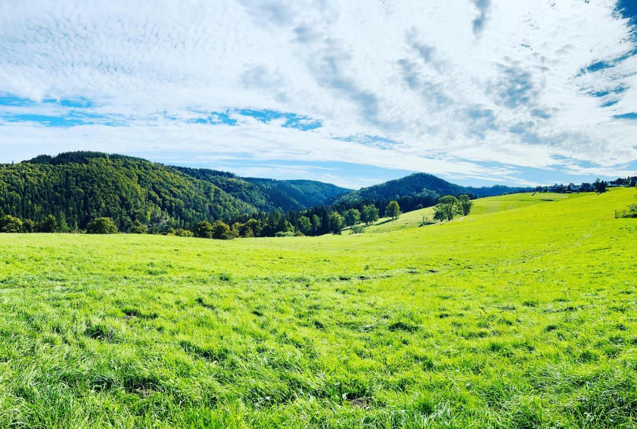 Ferienhaus Doina Gehlberg Kültér fotó