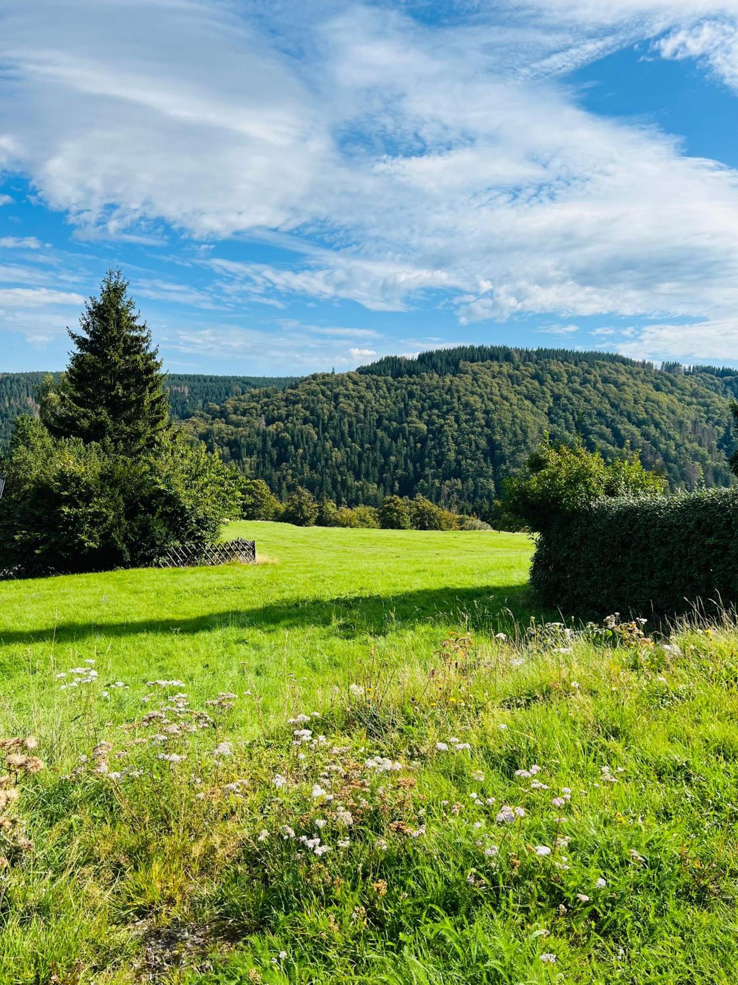 Ferienhaus Doina Gehlberg Kültér fotó