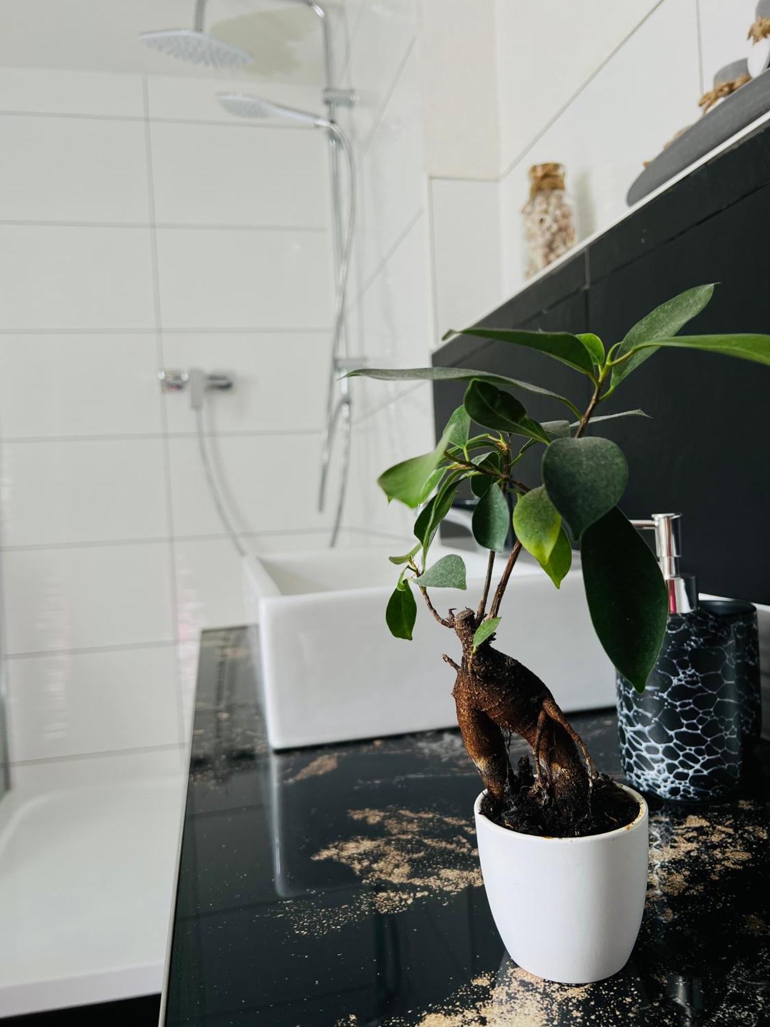 Ferienhaus Doina Gehlberg Kültér fotó